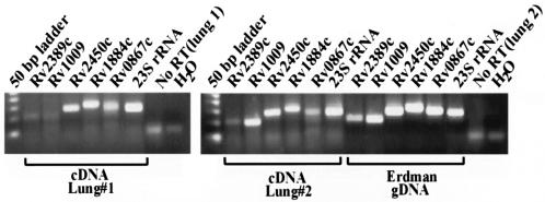 FIG. 8.