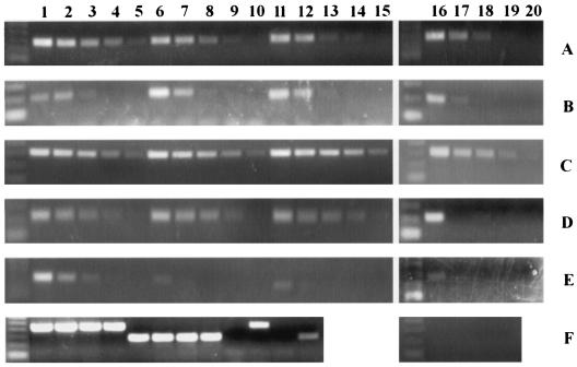 FIG. 6.