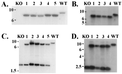 FIG. 2.