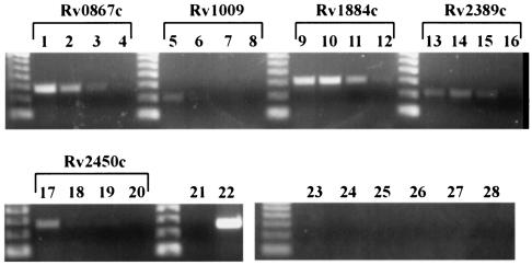 FIG. 7.