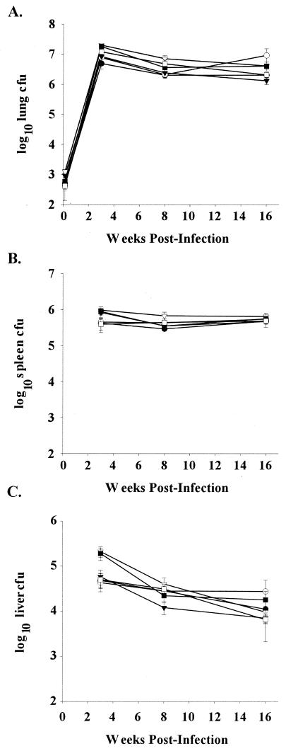 FIG. 5.