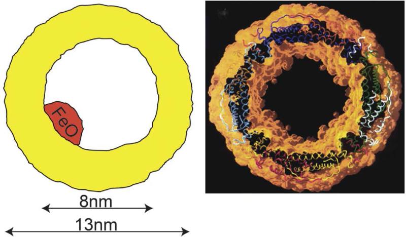 Fig. 12