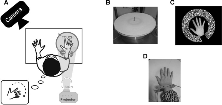 Fig. 1.