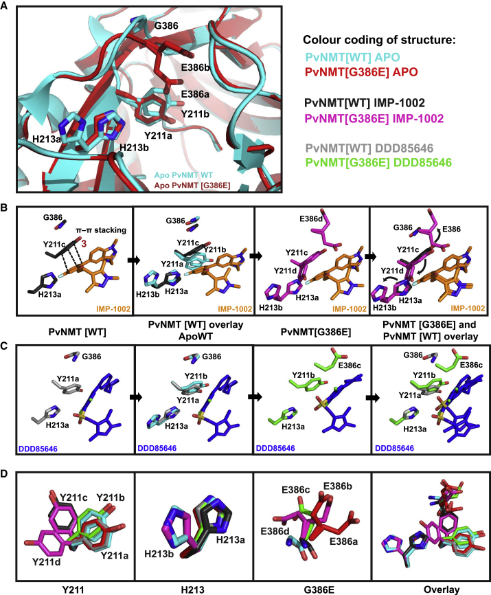 Figure 5