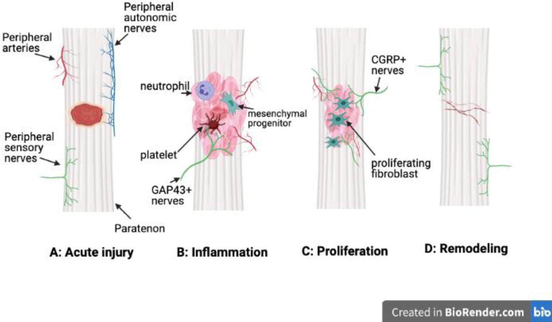 Figure 2: