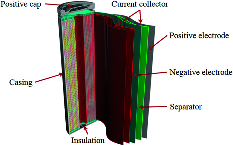 Fig. 1