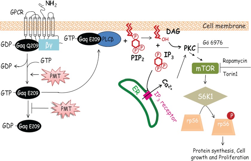 FIGURE 9.