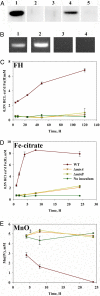 Fig. 4.