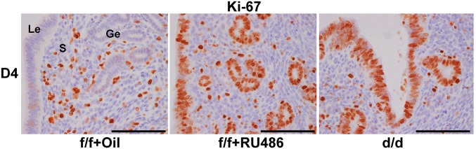 Fig. S2.