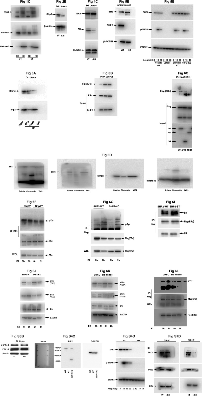 Fig. S9.