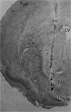 Fig. 5.