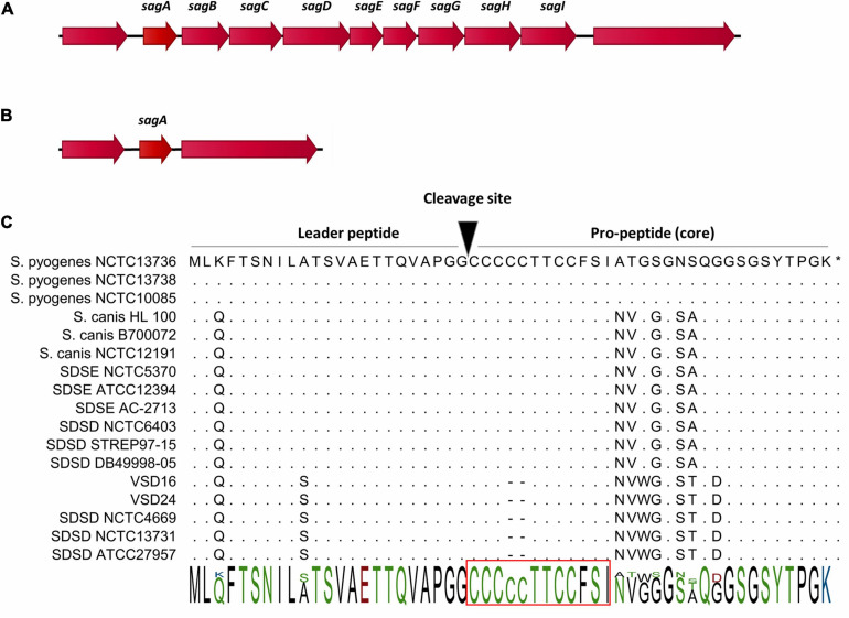 FIGURE 3