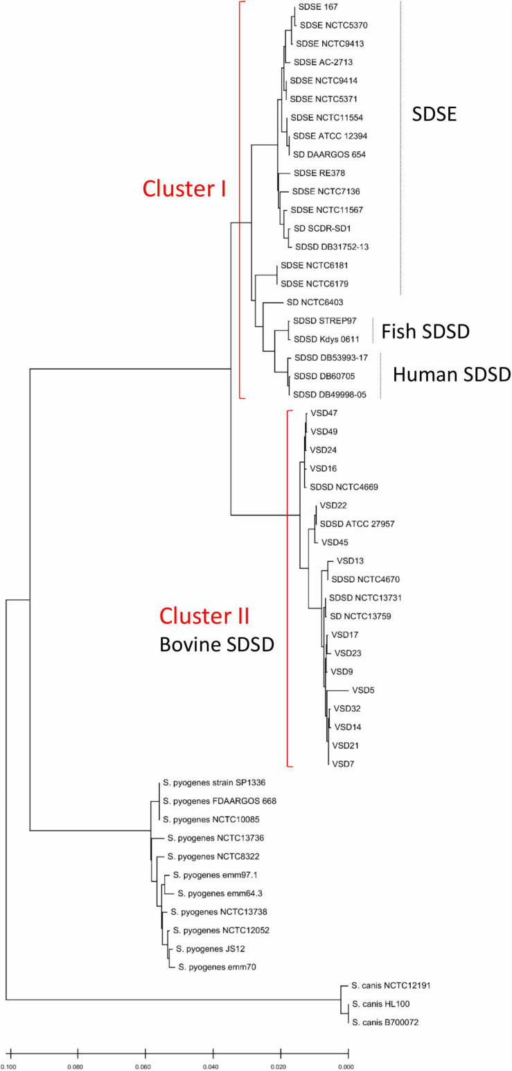 FIGURE 1