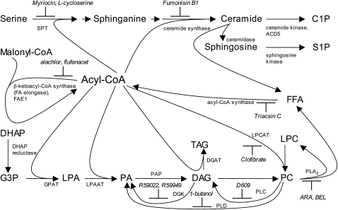 Figure 7.