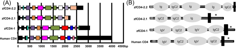 Fig 1