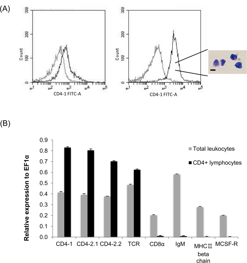 Fig 10