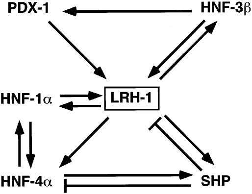 FIG. 7.