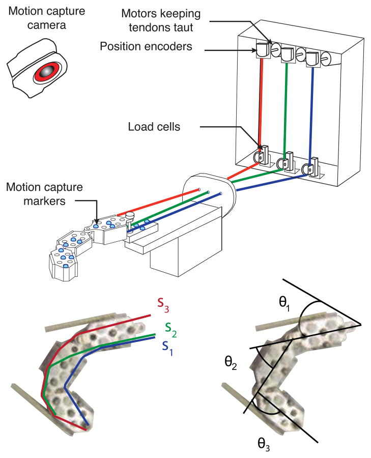 Fig. 1