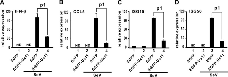 Fig 5