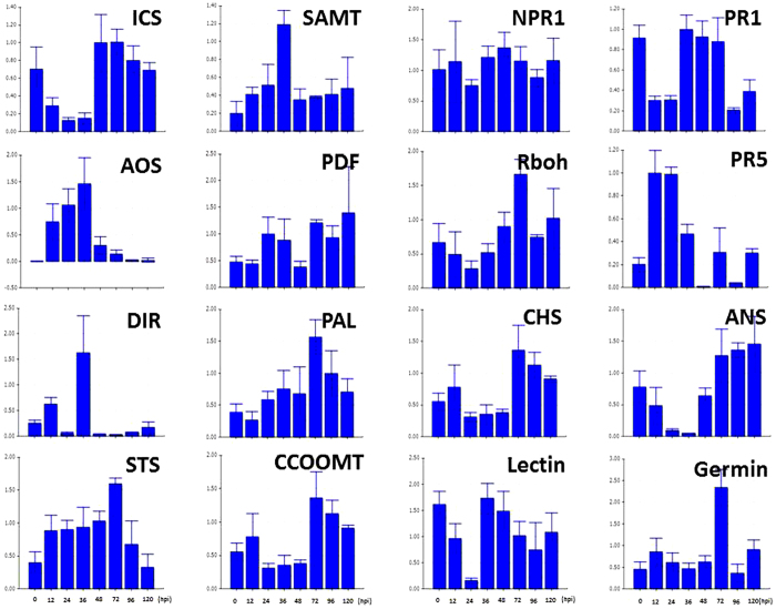 Figure 6