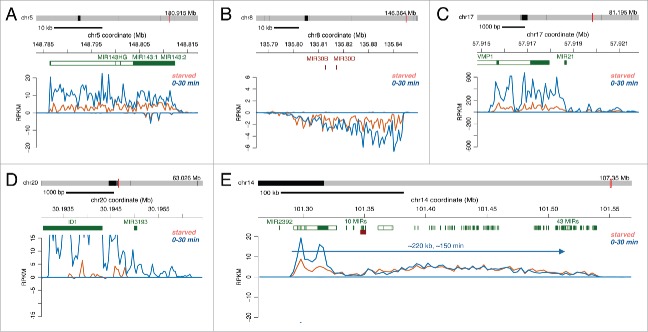 Figure 6.