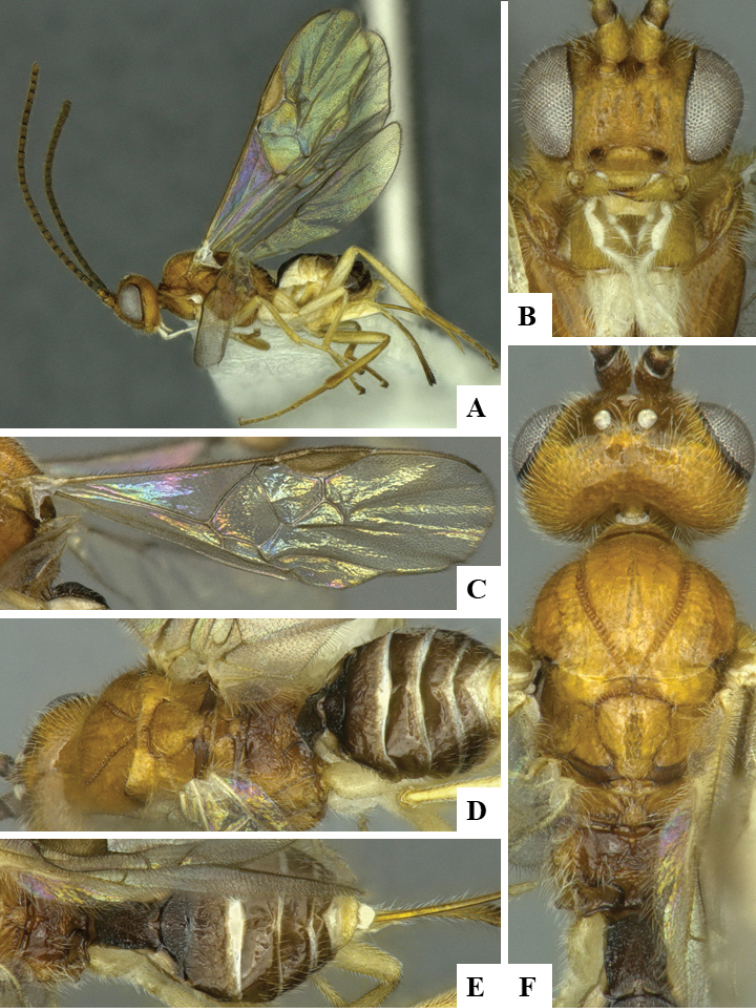 Figure 136.