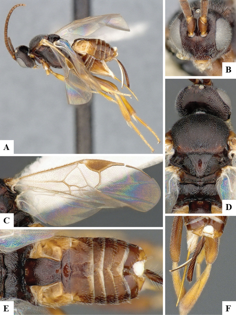 Figure 24.