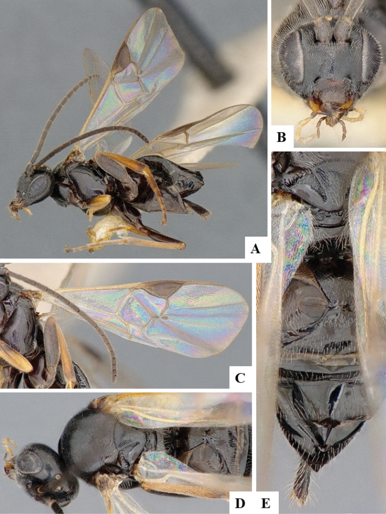 Figure 23.