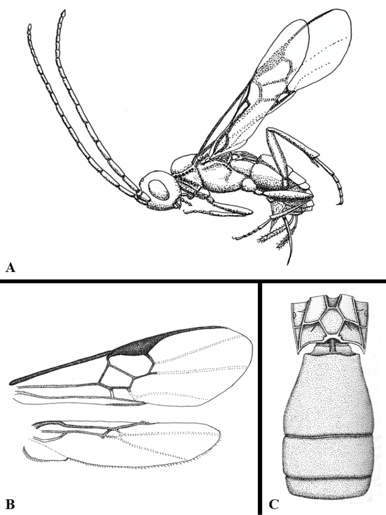 Figure 245.