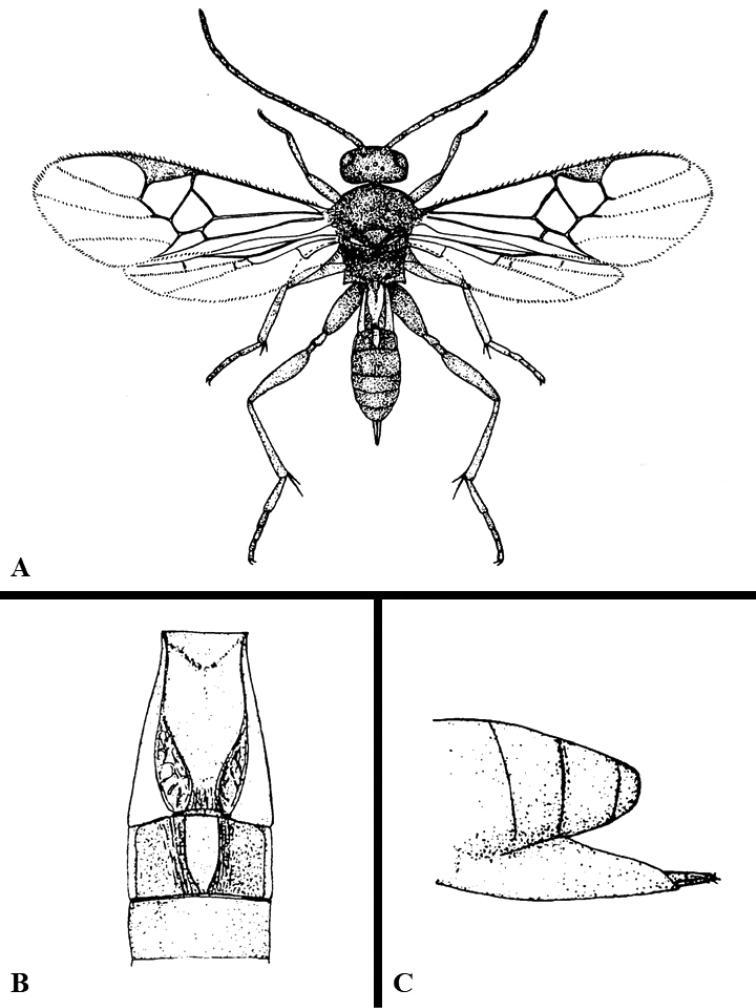 Figure 39.