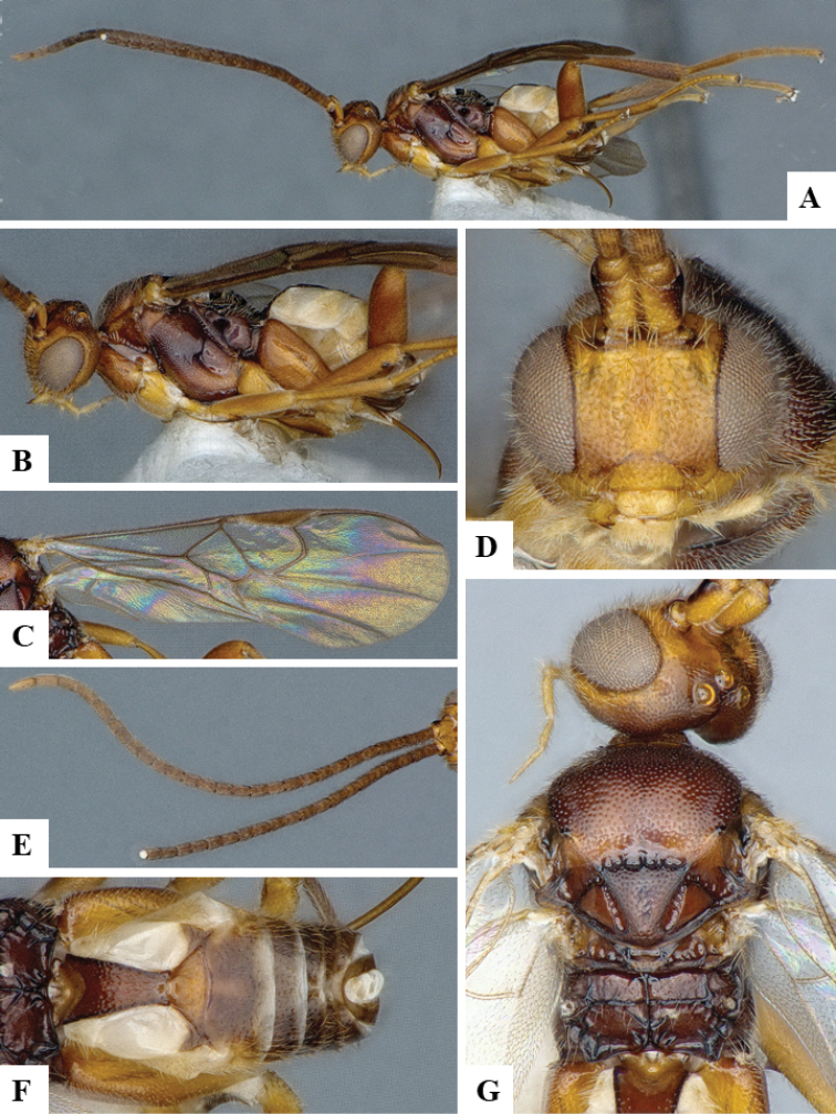 Figure 162.