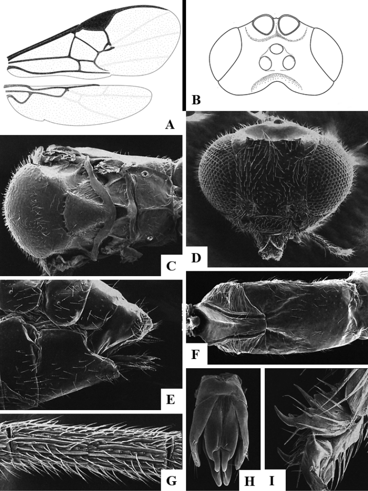 Figure 61.