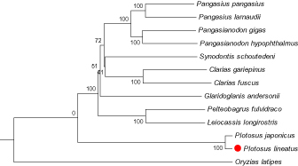 Figure 1.