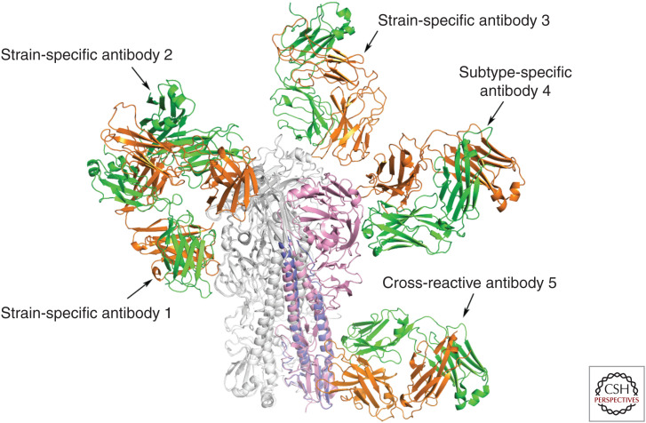 Figure 6.