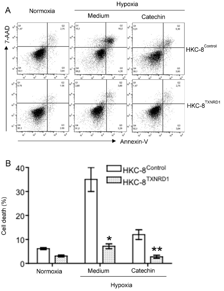 Figure 9