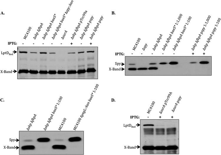 Fig 5