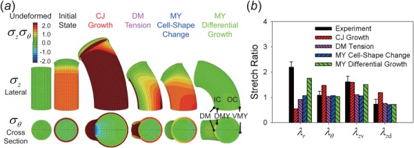 Fig. 7