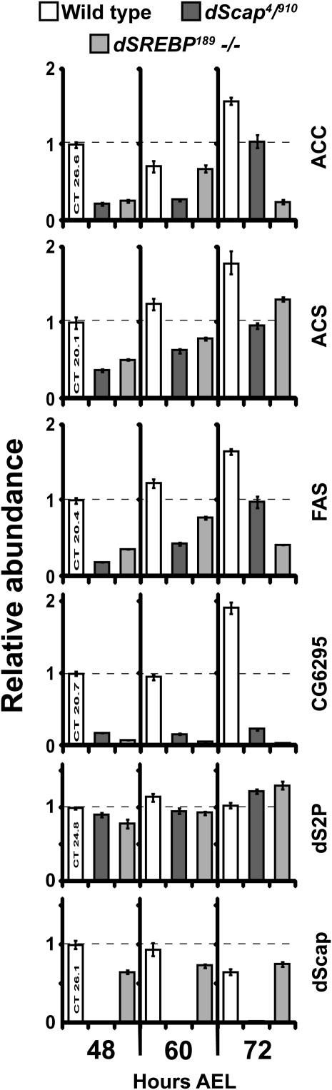 Figure 5.—