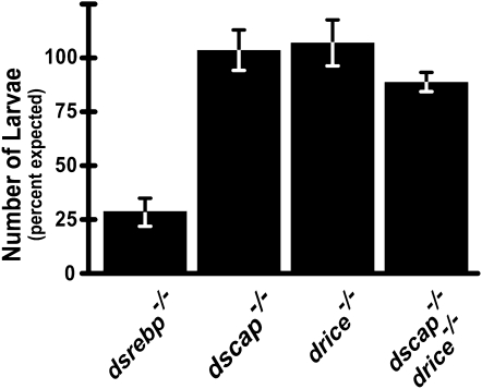 Figure 7.—