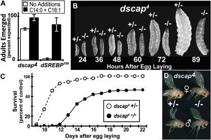 Figure 2.—