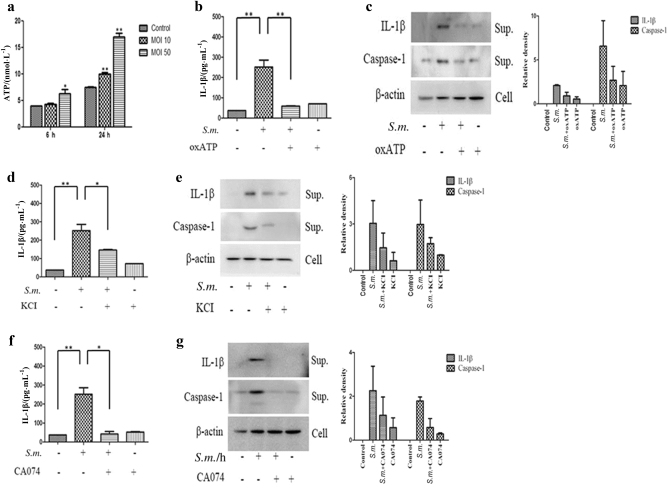 Fig. 4