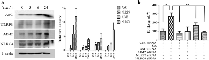 Fig. 3