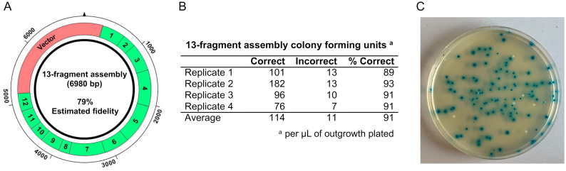 Fig 6