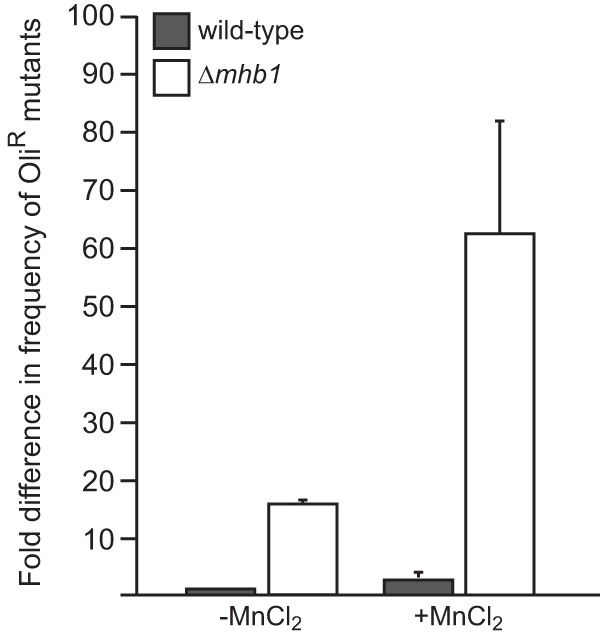 FIG 6