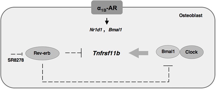 Fig. 8.