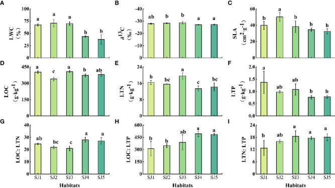 Figure 3