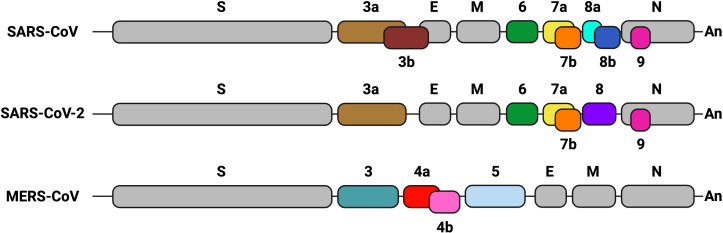 Figure 1