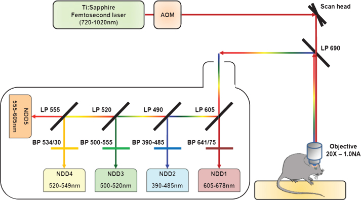 Fig.1