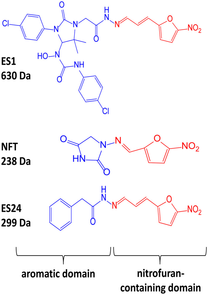 FIGURE 1