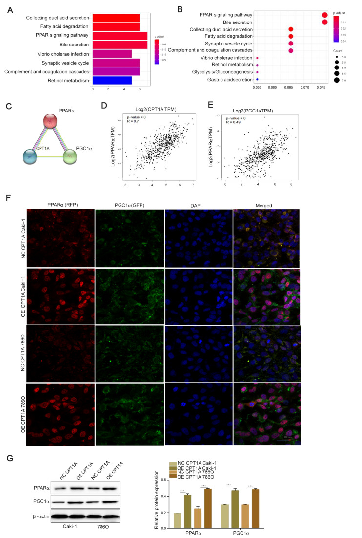 
Figure4
